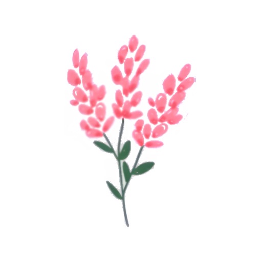 تطبيق تنظيم الميزانية Fleur